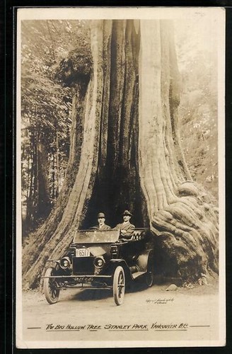 Vancouver the big hollow - big,