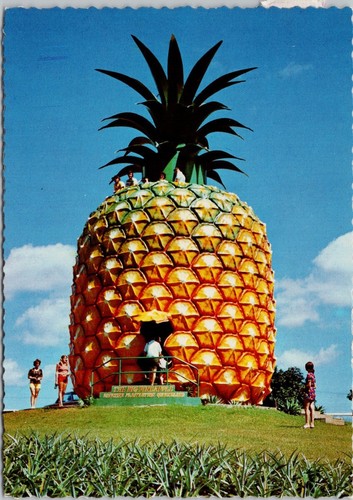 Cartolina the big - the, pineapple