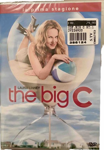 Dvd the big stagione 1 - the,
